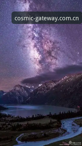 资深用户分享：星空入口CN实时赔率实战经验，你的周末观赛指南该刷新了